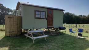 Shepherd Hut on working smallholding